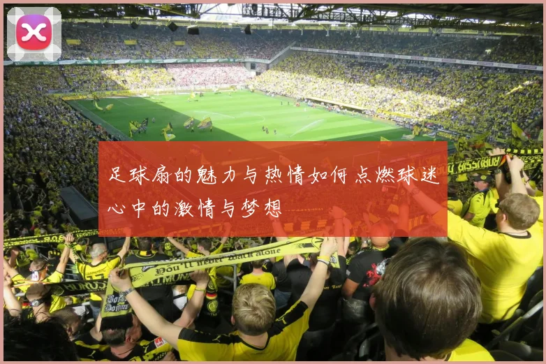 足球扇的魅力与热情如何点燃球迷心中的激情与梦想