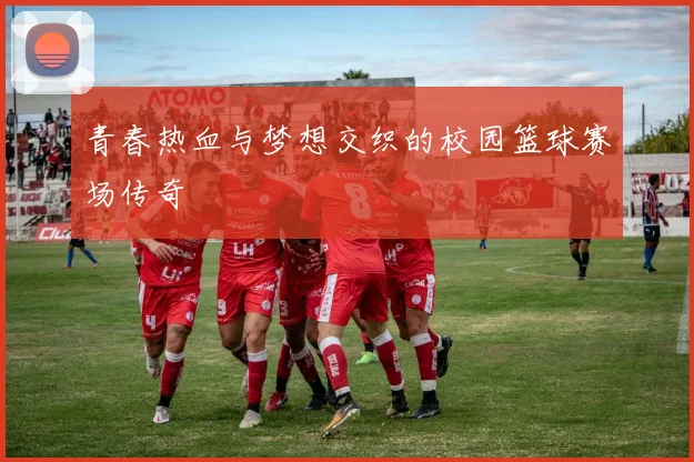 青春热血与梦想交织的校园篮球赛场传奇