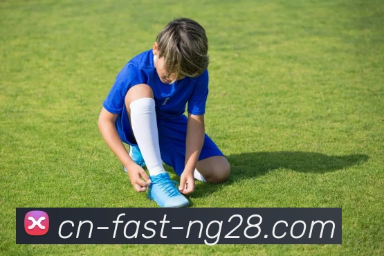 NG28中国官网服务体系